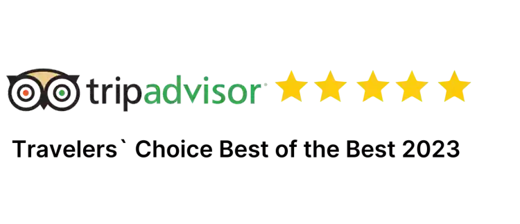 TripAdvisor